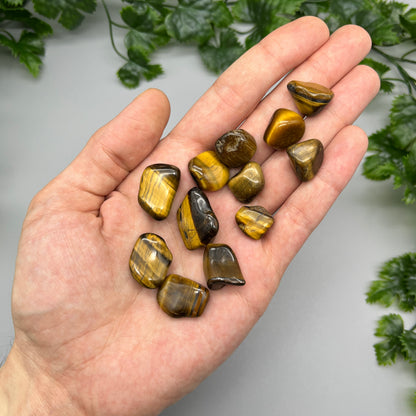 SET OF 6 OR 12 Tiger’s Eye Tumbled Stones