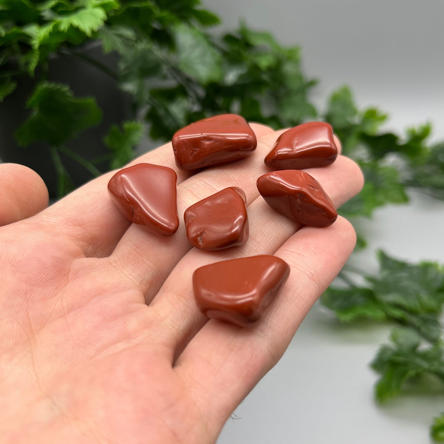 SET OF 6 OR 12 Red Jasper Tumbled Stones