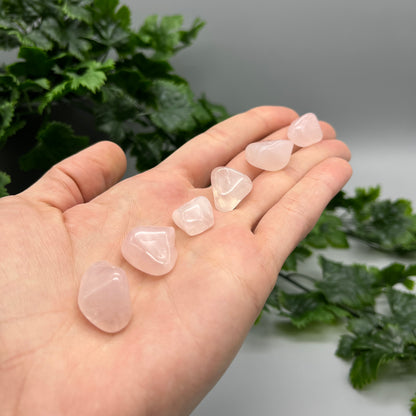 SET OF 6 OR 12 Rose Quartz Tumbled Stones