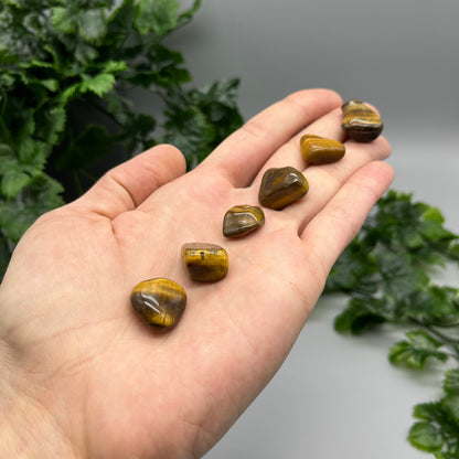 SET OF 6 OR 12 Tiger’s Eye Tumbled Stones