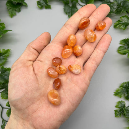 SET OF 6 OR 12 Carnelian Tumbled Stones