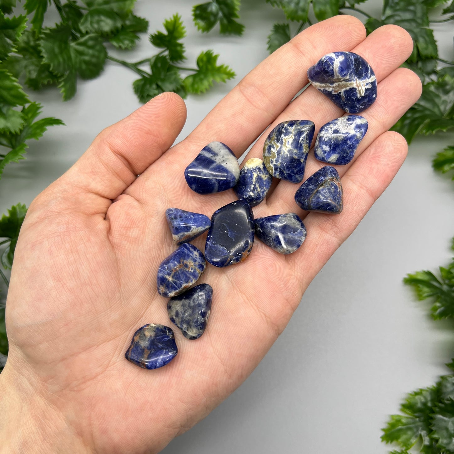 SET OF 6 OR 12 Sodalite Tumbled Stones