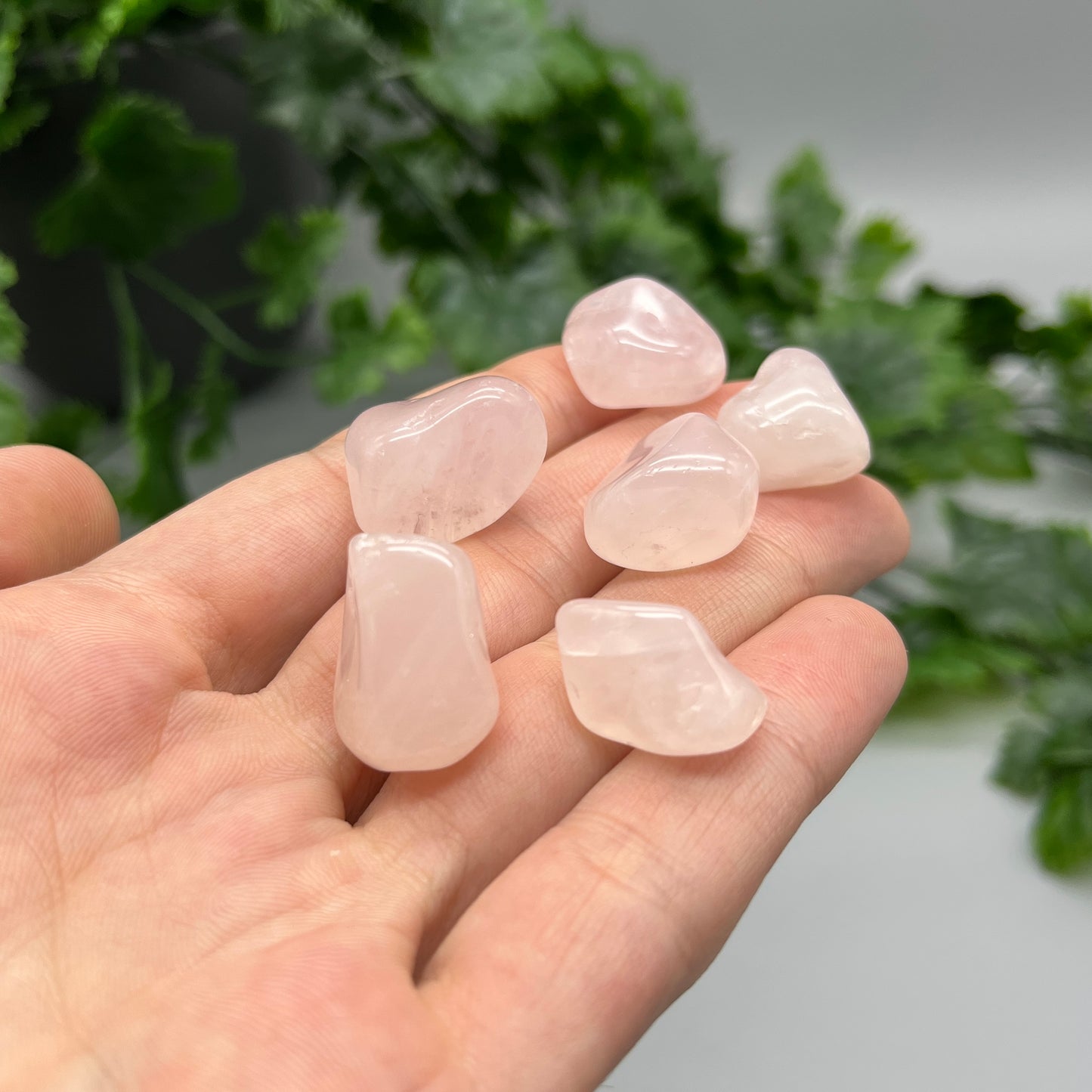 SET OF 6 OR 12 Rose Quartz Tumbled Stones