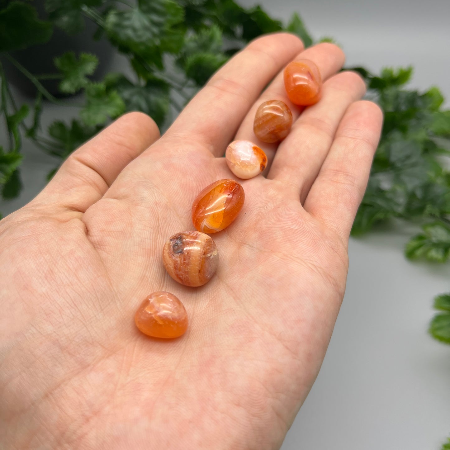 SET OF 6 OR 12 Carnelian Tumbled Stones