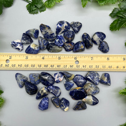 SET OF 6 OR 12 Sodalite Tumbled Stones