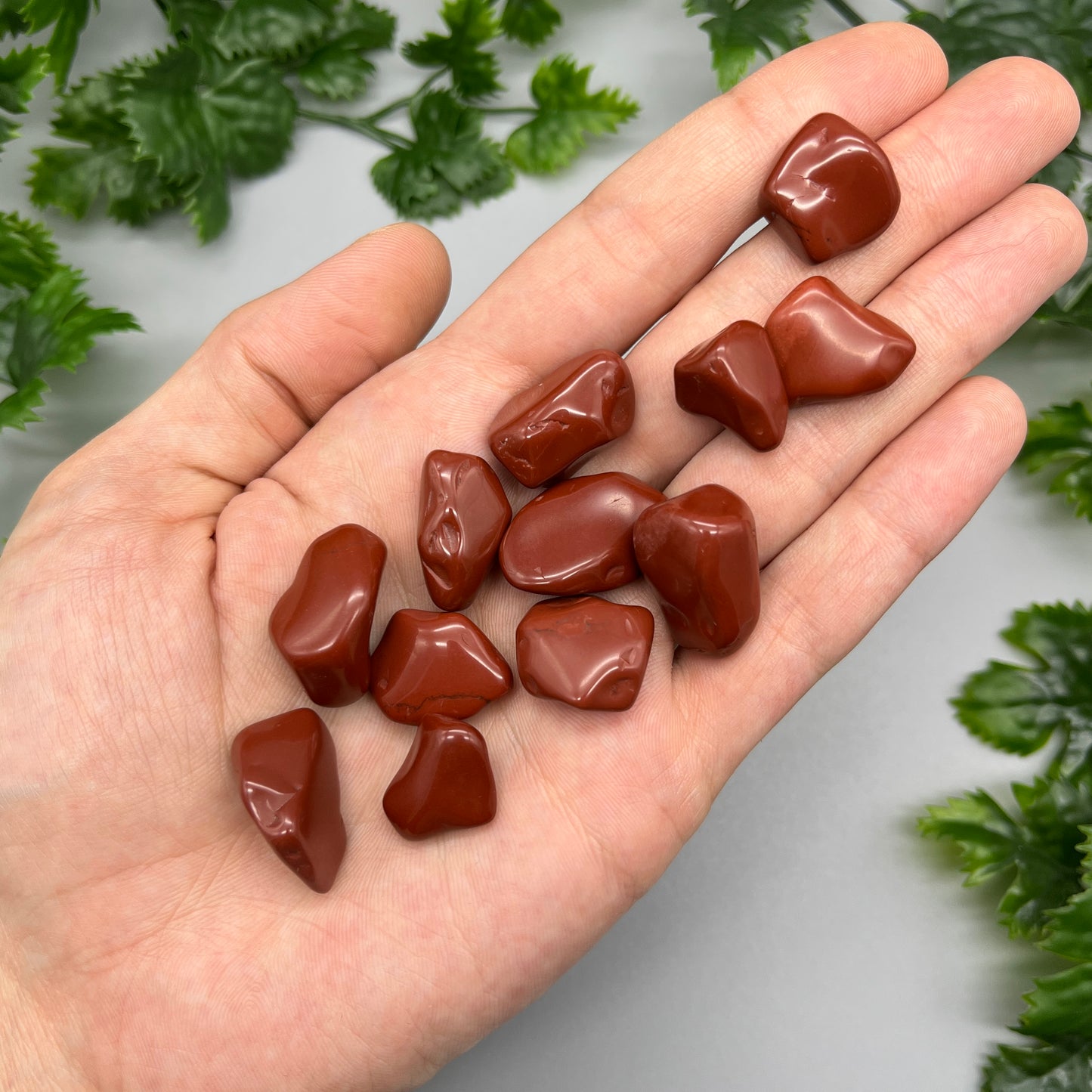 SET OF 6 OR 12 Red Jasper Tumbled Stones