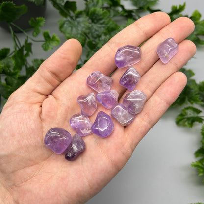 SET OF 6 OR 12 Amethyst Tumbled Stones