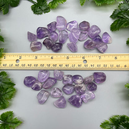 SET OF 6 OR 12 Amethyst Tumbled Stones