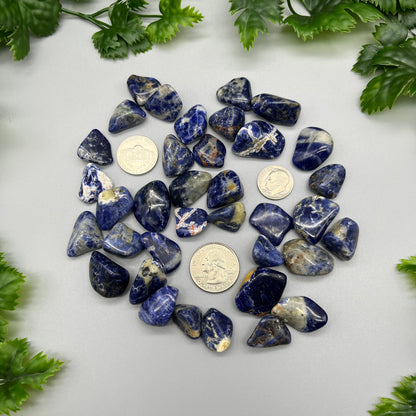 SET OF 6 OR 12 Sodalite Tumbled Stones