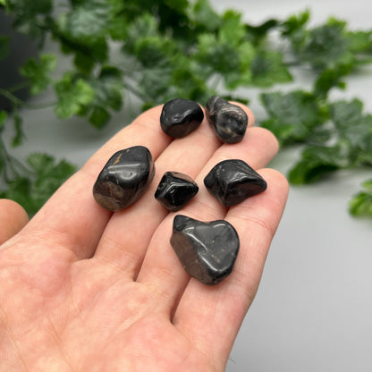 SET OF 6 OR 12 Black Onyx Tumbled Stones