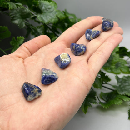 SET OF 6 OR 12 Sodalite Tumbled Stones