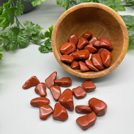 SET OF 6 OR 12 Red Jasper Tumbled Stones