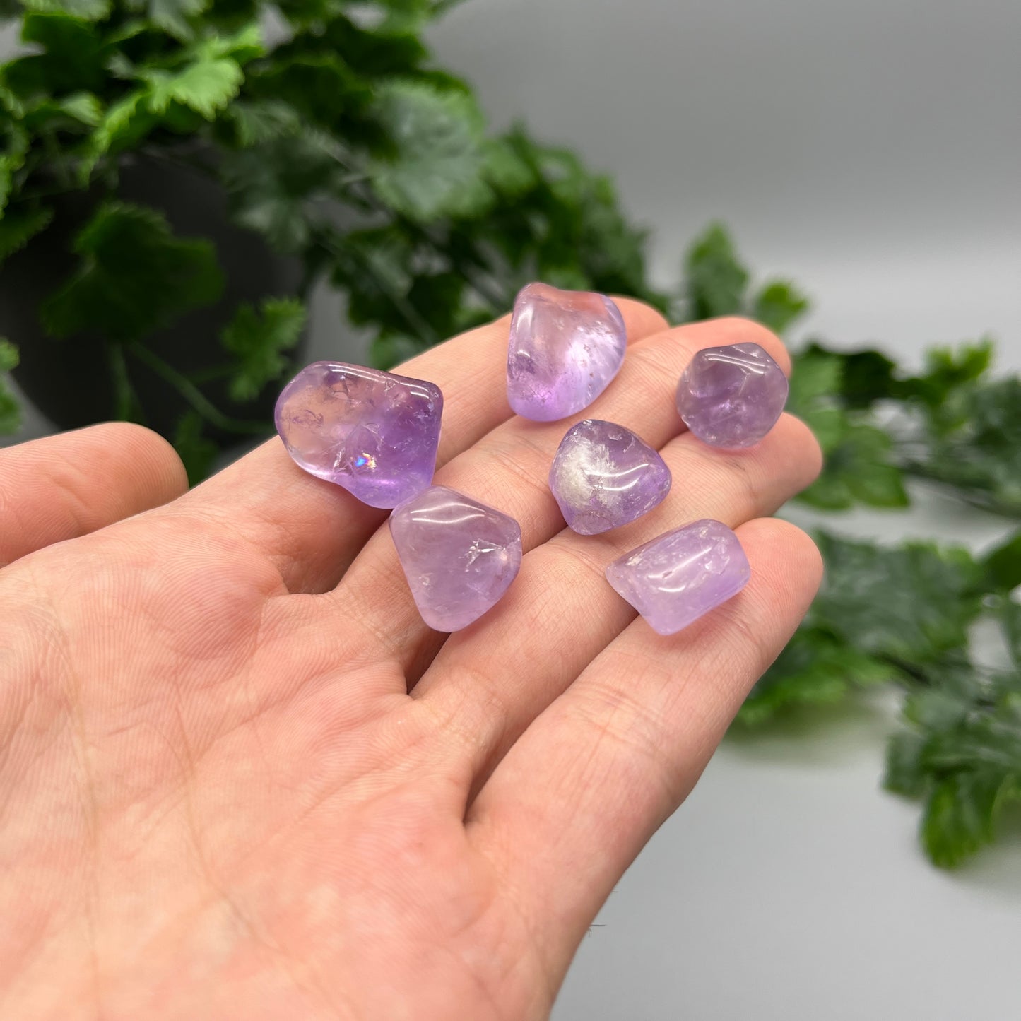 SET OF 6 OR 12 Amethyst Tumbled Stones