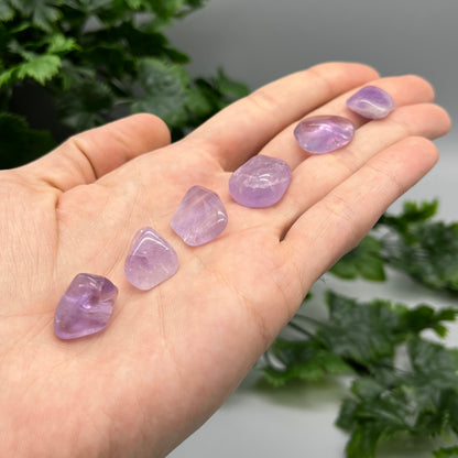 SET OF 6 OR 12 Amethyst Tumbled Stones