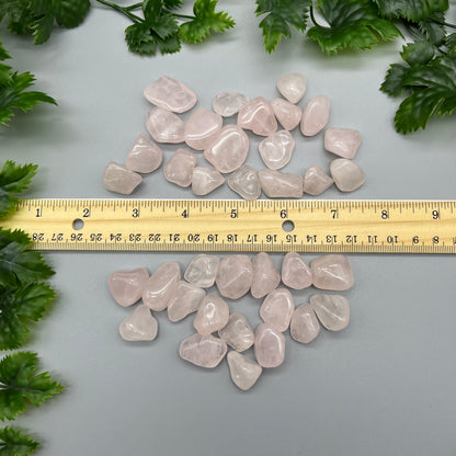 SET OF 6 OR 12 Rose Quartz Tumbled Stones