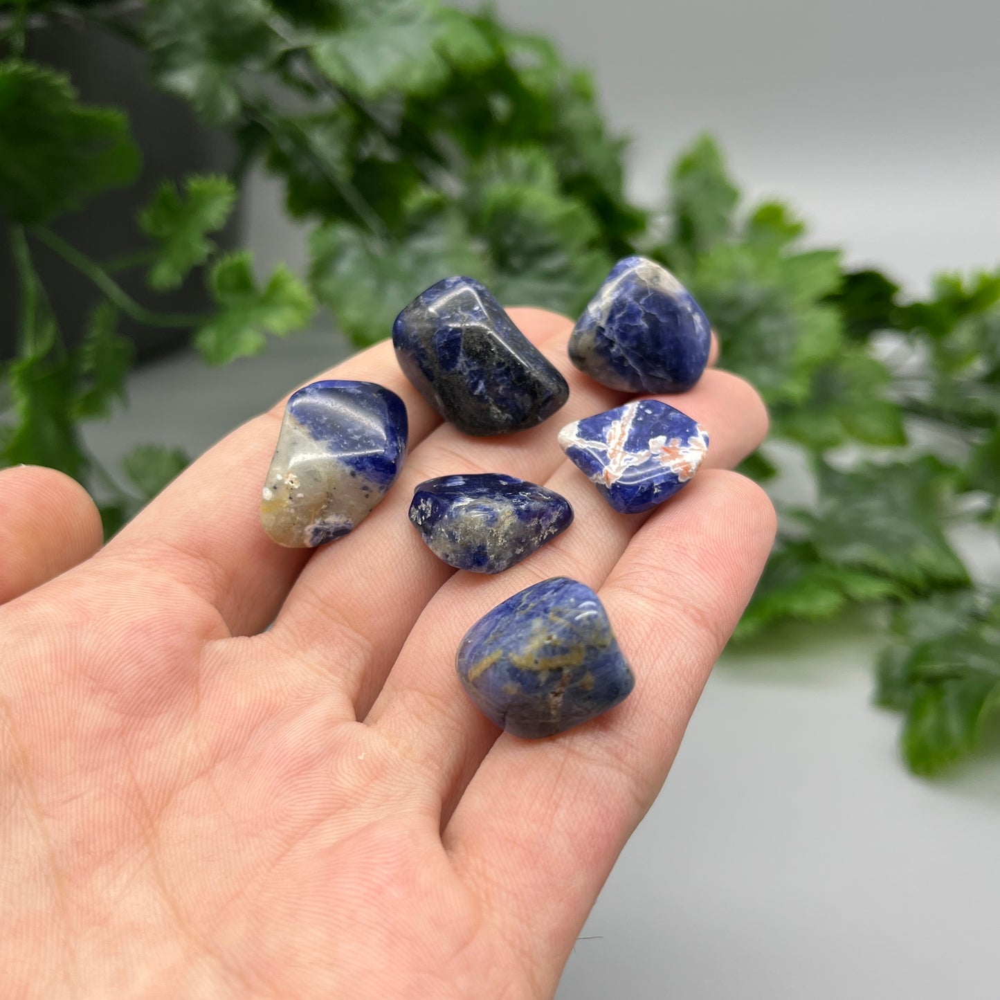 SET OF 6 OR 12 Sodalite Tumbled Stones